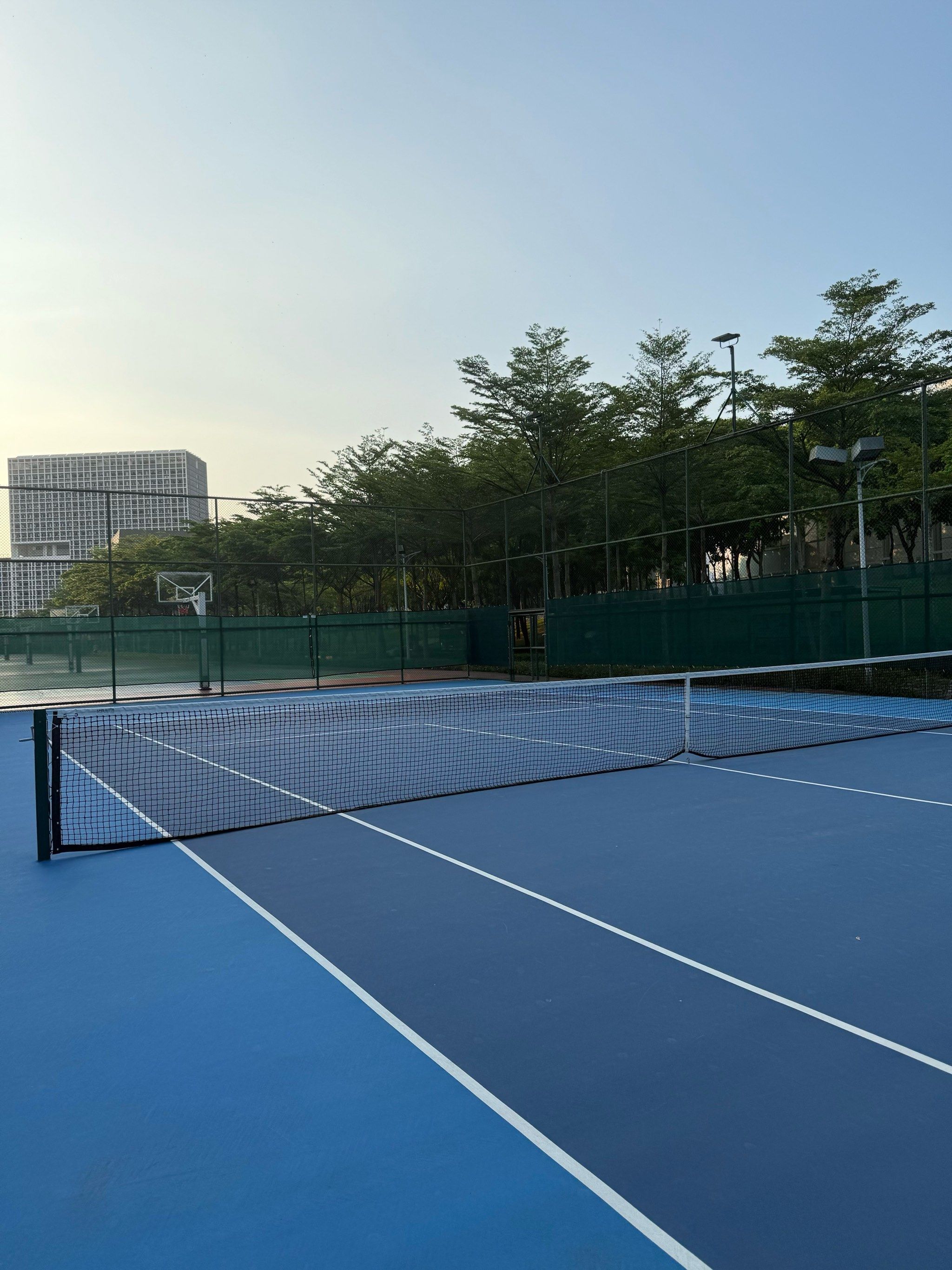 曲线也为许 曲线也为许